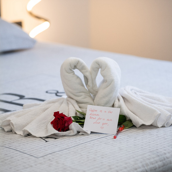 Villa Alison Deluxe, istrialuxuryrent Labin