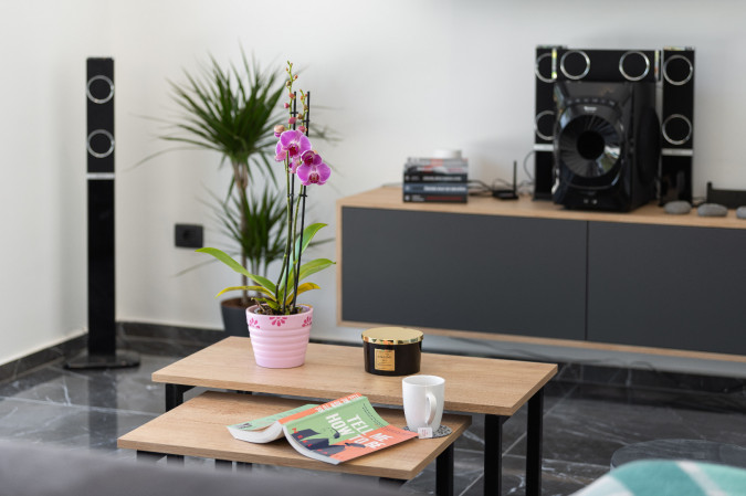 Villa Alison Deluxe, istrialuxuryrent Labin